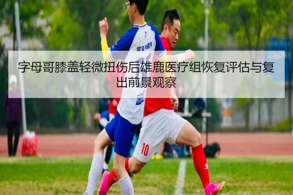 字母哥膝盖轻微扭伤后雄鹿医疗组恢复评估与复出前景观察