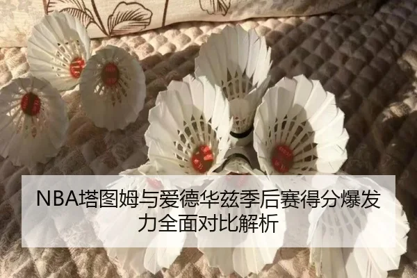 NBA塔图姆与爱德华兹季后赛得分爆发力全面对比解析